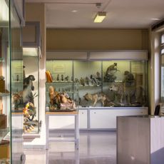 Civico museo di storia naturale Don Michelangelo Ambrosioni