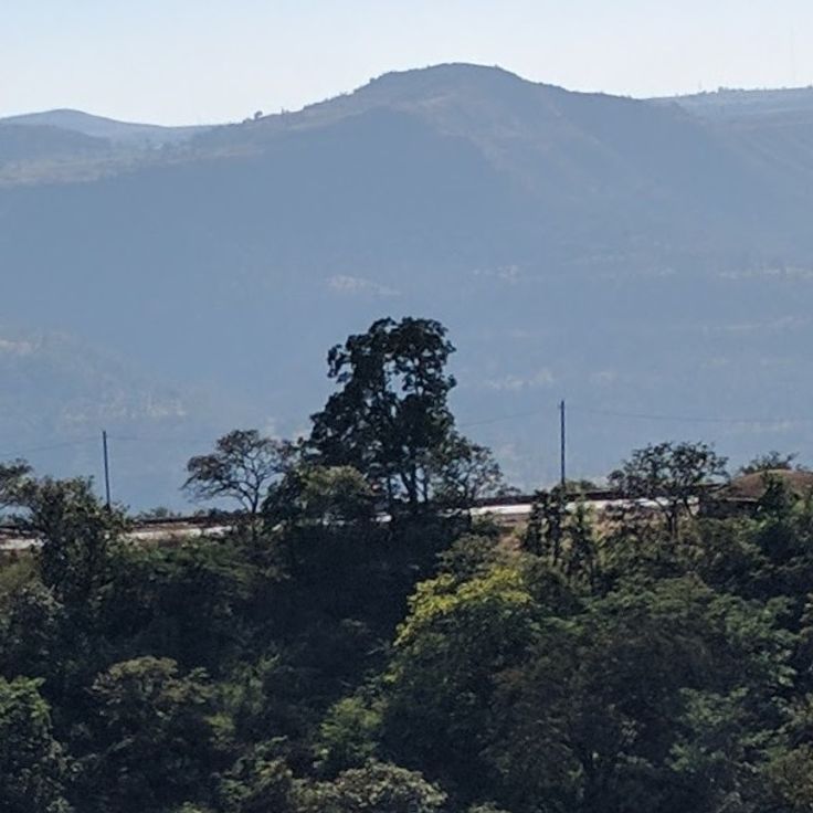 Saputara