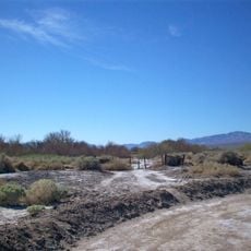 Tule Springs