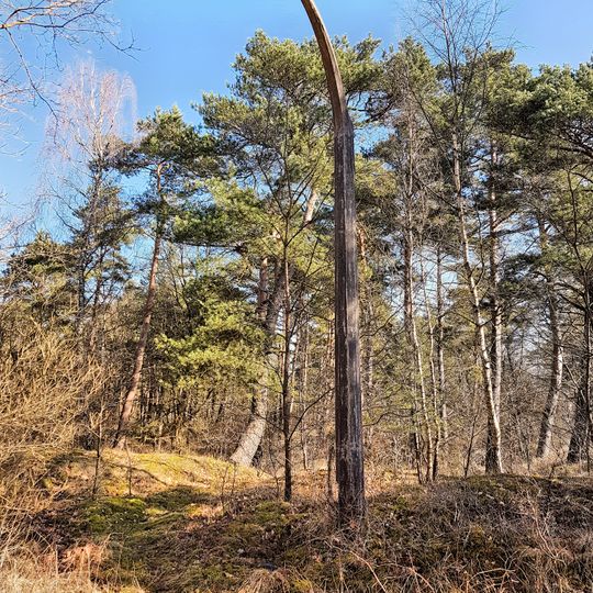 Besenhorster Sandberge und Elbsandwiesen