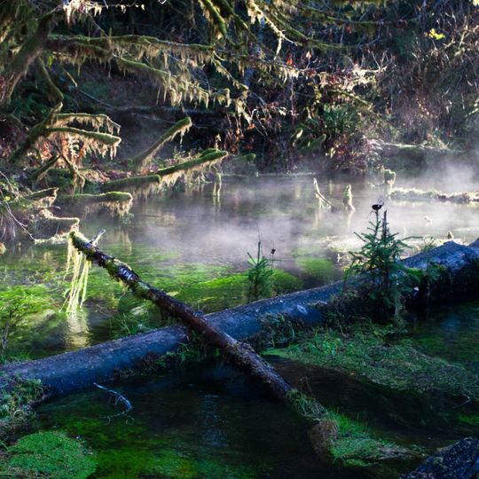 Hall of Mosses Trail