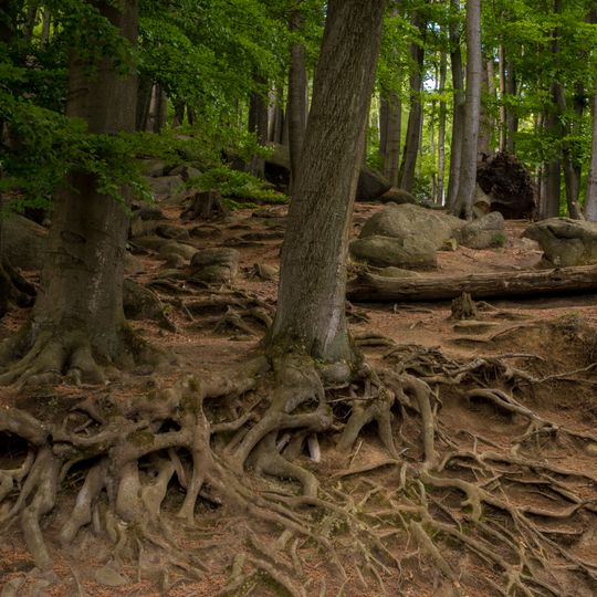 Felsberg bei Reichenbach
