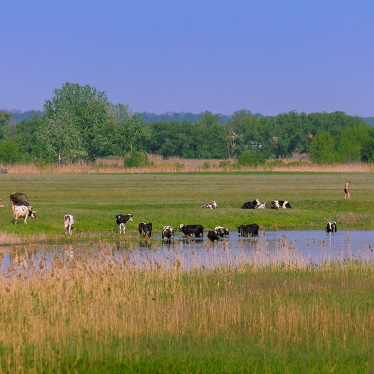 Landscape Reserve Pryorilskyi
