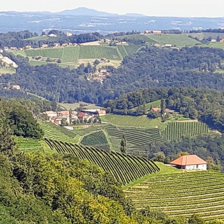 Kitzeck im Sausal