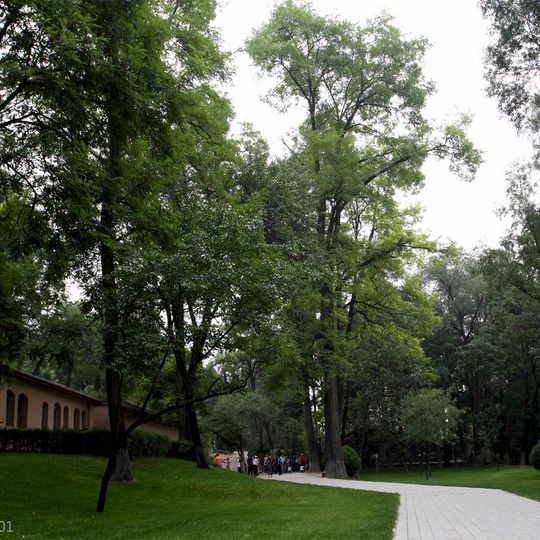 Zaoyuan Subdistrict, Yan'an