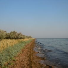 Parque nacional natural Costa de Marfil de Sviatoslav