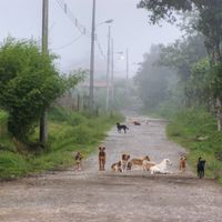 Dulce Nombre de Jesús