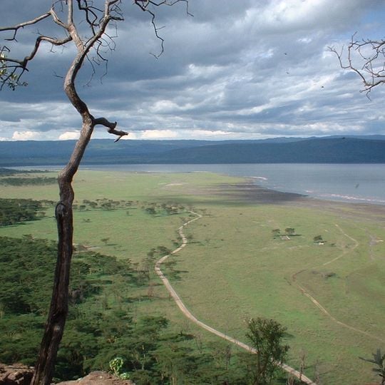 Lago Nakuru