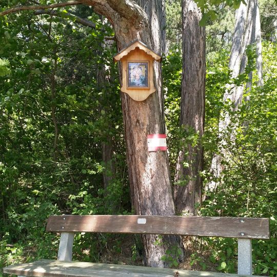 Tree shrine Auf dem Hart