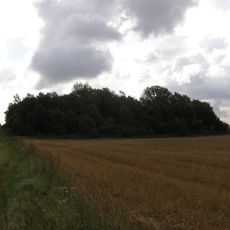 Auksūdžio II piliakalnis