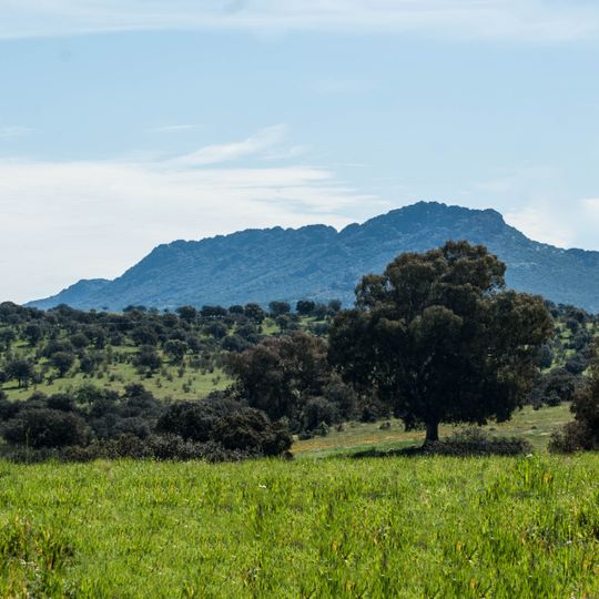 Category:Dehesa de Castilseras