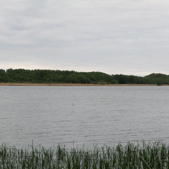 Südufer Ruppiner See