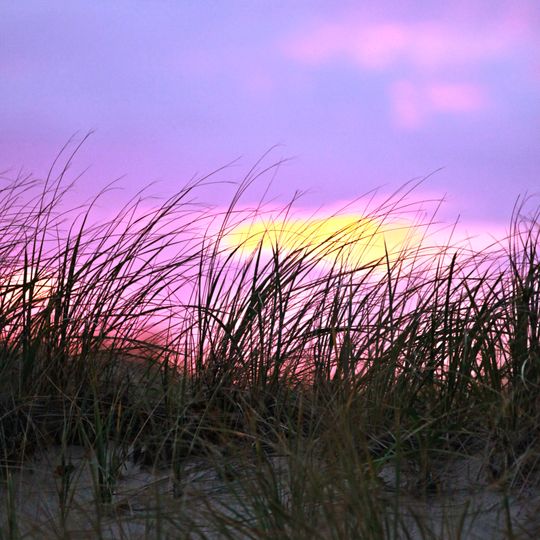 First Encounter Beach