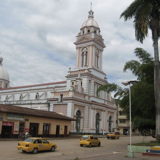 Chaparral tolima