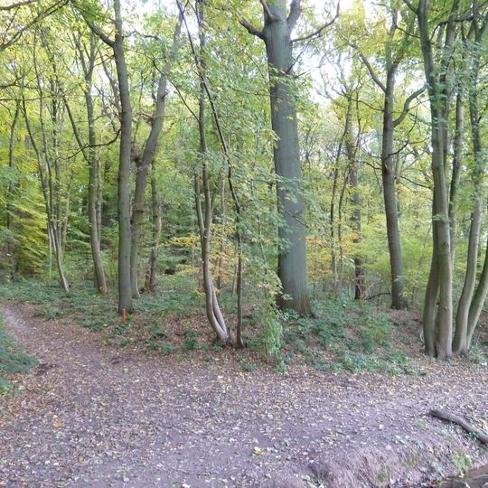 Romeinse villa Ravensbosch