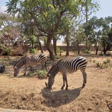 Munda Wanga Environmental Park