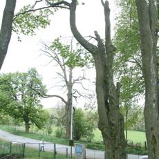 Skupina stromů u kaple