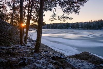 Winter 24