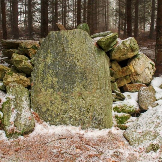 Lichtenštejnský památník severně od Janoslavic v lese