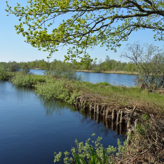Ostroher/Süderholmer Moor