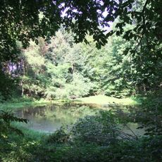 Manor park in Nieciesławice