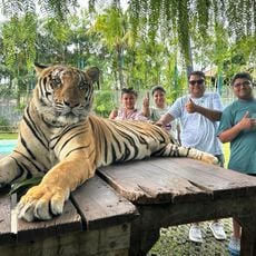 Tiger Park Big Buddha