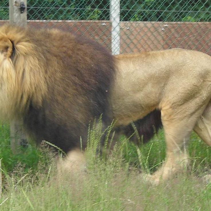 Givskud Zoo