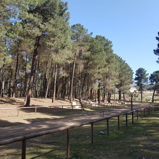 Zona de Acampada Controlada El Robledal