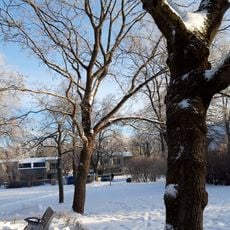 Vaikne park