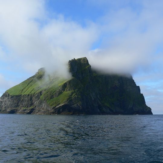 Soay