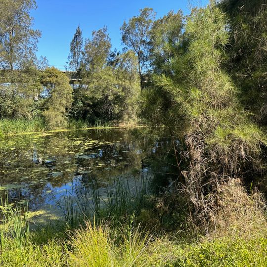 Leacock Regional Park
