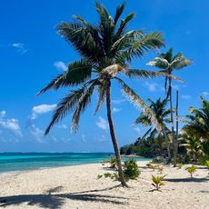 Tobago Cays Marine Park