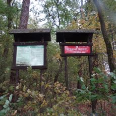 Reserve nature Dębina