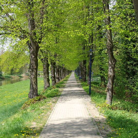 Winterlindenallee an der Schwarzen Elster in Bad Liebenwerda