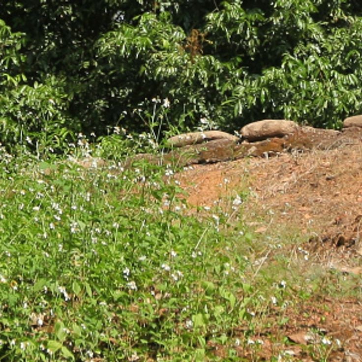 Military Defense Post A1