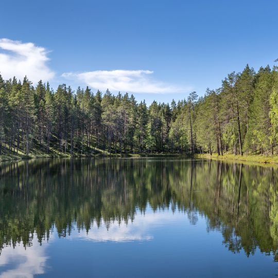 Kostomuksha Nature Reserve