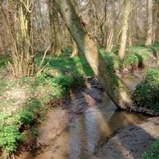 Bois du Hautmont