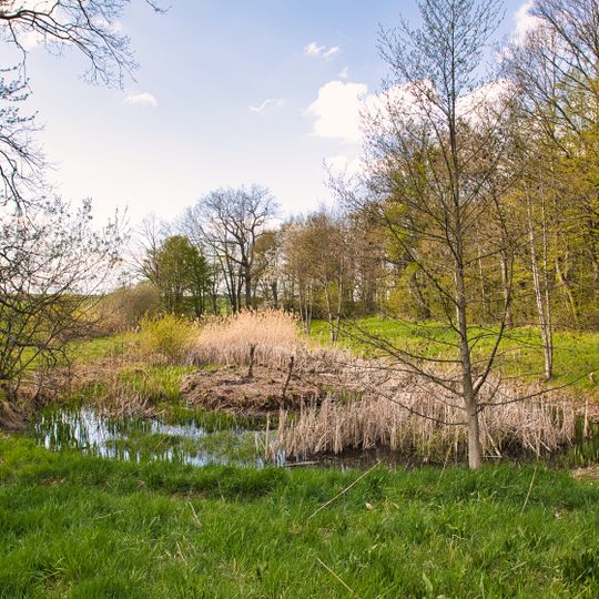 Feuchtbiotop am Marstadter See Beim Jungholz