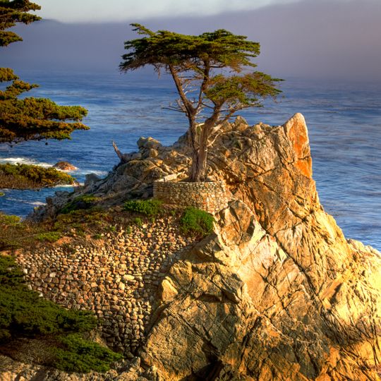 Pebble Beach