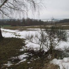 Kříž na rozcestí jižně od Všekar