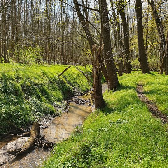 Maibachtal bei Priesen