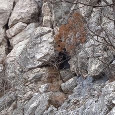 Margitligeti szirtoldali Cave