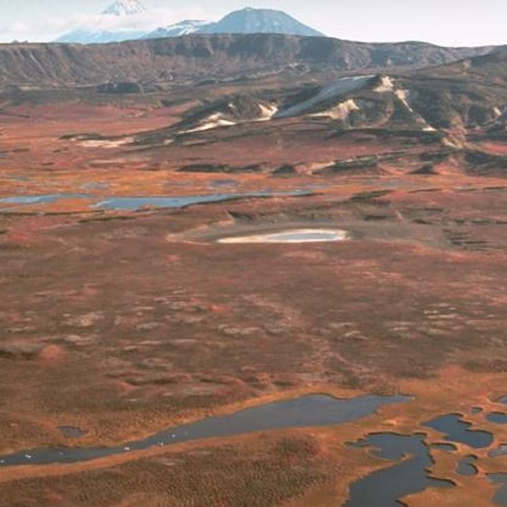 Rezerwat Przyrody Kronocki