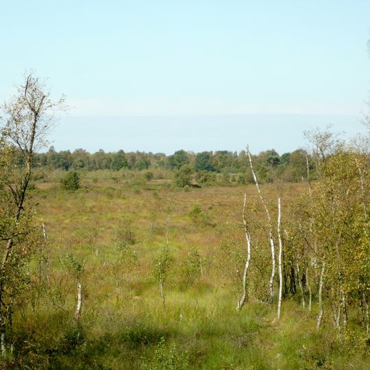 Ochsenweide, Schafhauser Wald und Feuchtwiesen bei Esens