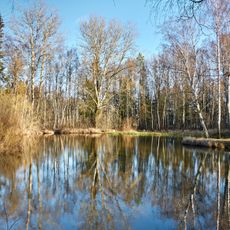 Пруд «У обсерватории» (Павловск)