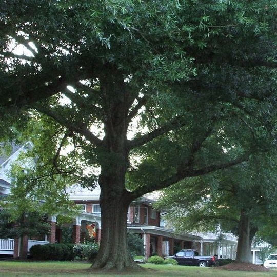 Fifth Avenue Historic District