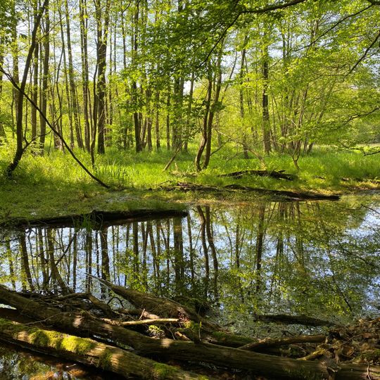 Krabbenheider Bach in Gevelsberg