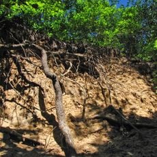 Urochysche Yatseve Reserve