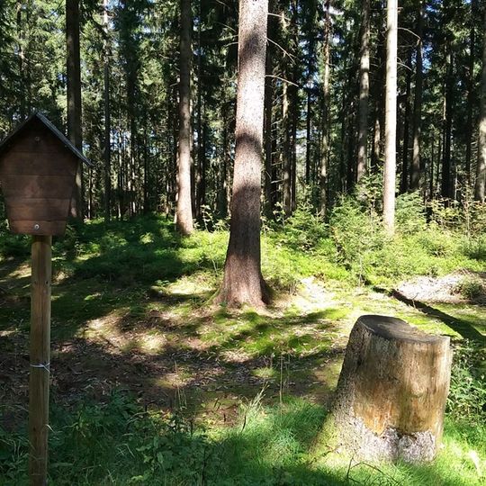 Mittelgebirgslandschaft bei Johanngeorgenstadt