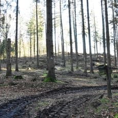 Heiligenberg
